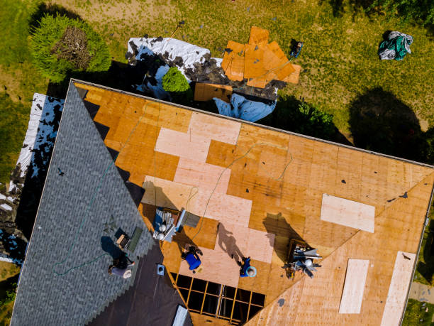Best New Roof Installation  in Machesney Park, IL