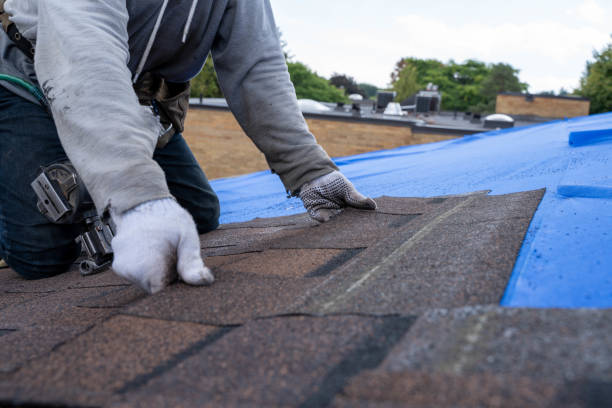 Quick and Trustworthy Emergency Roof Repair Services in Machesney Park, IL