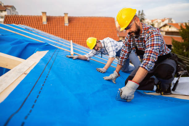 Best Residential Roofing Contractor  in Machesney Park, IL