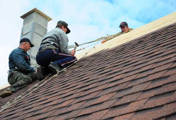 Best Commercial Roofing Services  in Machesney Park, IL
